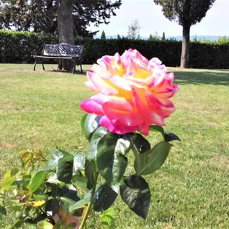Tenuta Barbadoro Alloggio per agriturismo *