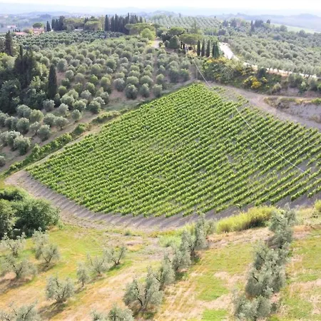 Tenuta Barbadoro