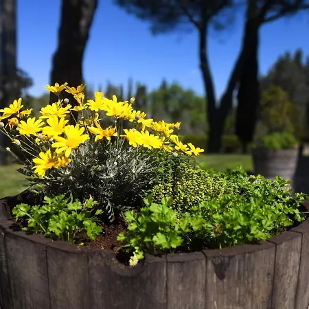 Tenuta Barbadoro *