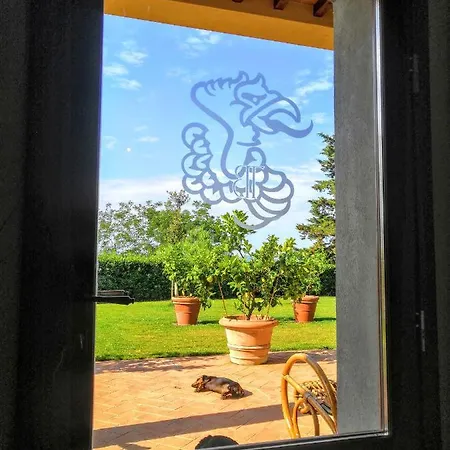 Tenuta Barbadoro * Montespertoli